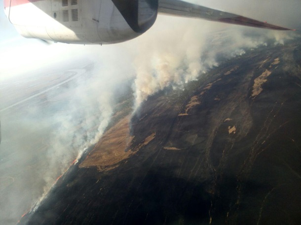 С самолета тушат масштабный пожар в Вилковском лесничестве