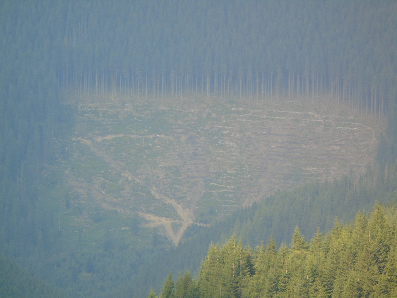 Фото: Сергей Канциренко