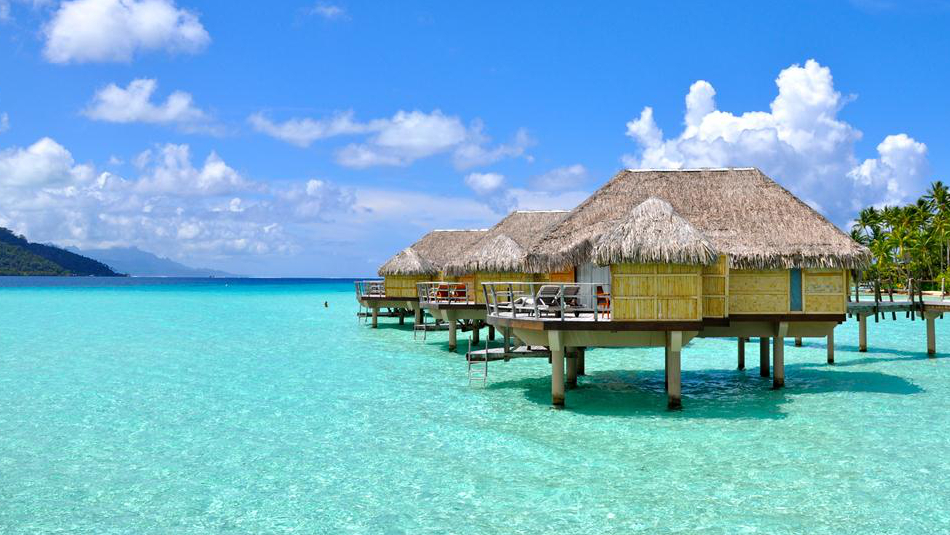 где недорого встретить новый 2017 год