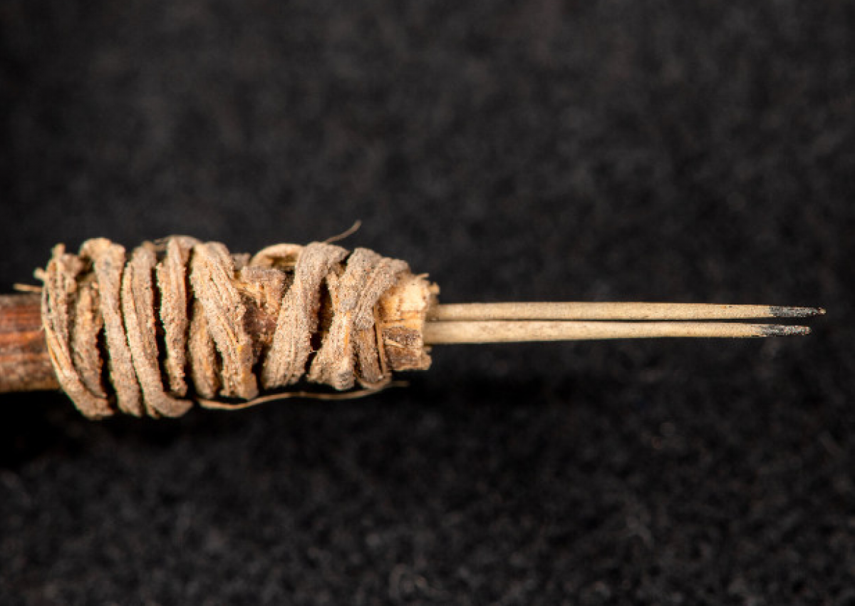 В США нашли древний  инструмент для татуирования. Фото: Bob Hubner/WSU