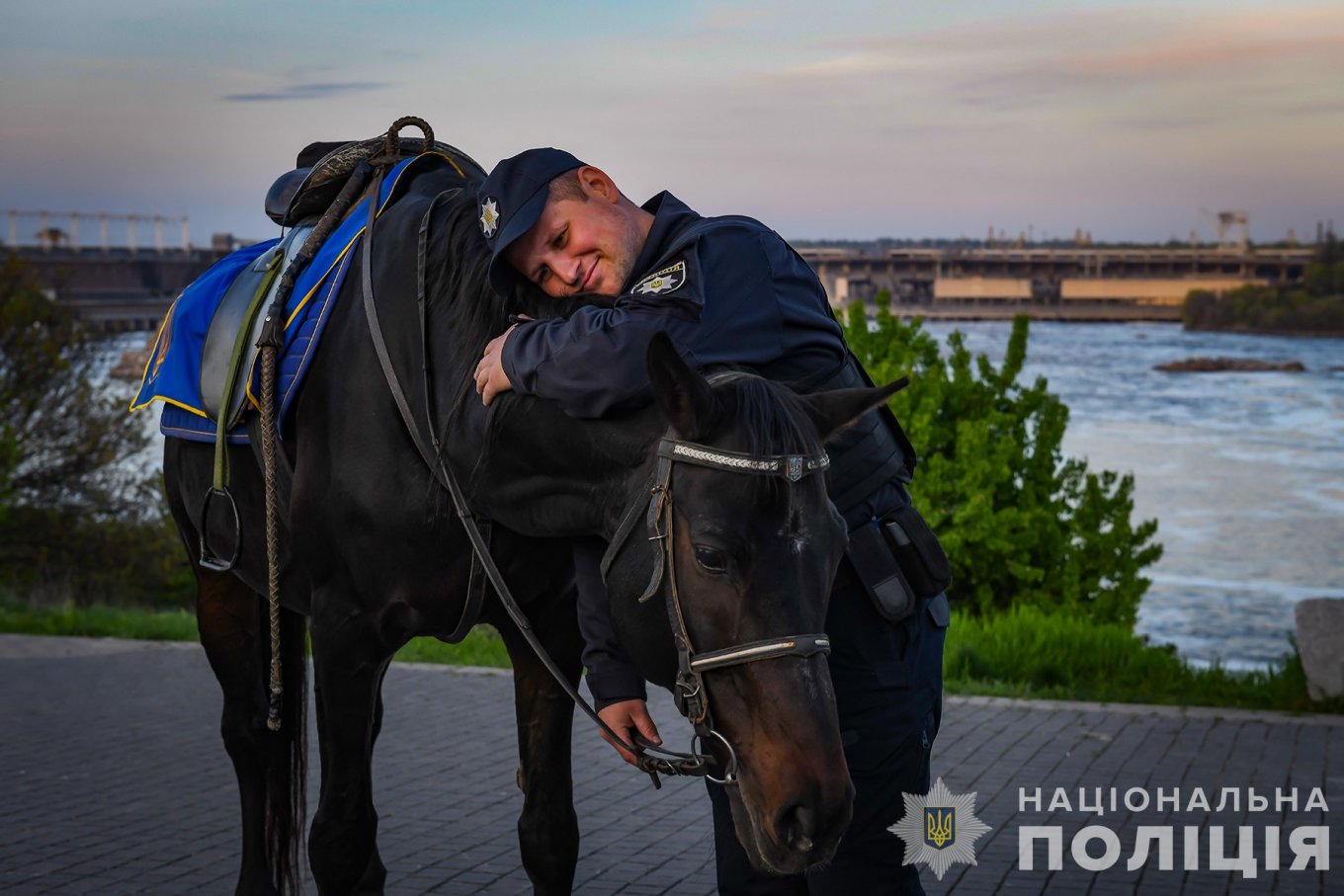 Гривасті напарники патрульних Пейзаж і Рельєф