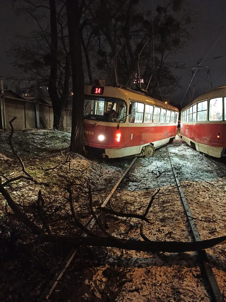 Трамвай врезался в дерево 