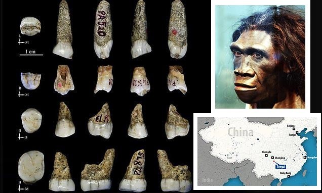 Зубы неизвестного предка человека обнаружили в Китае