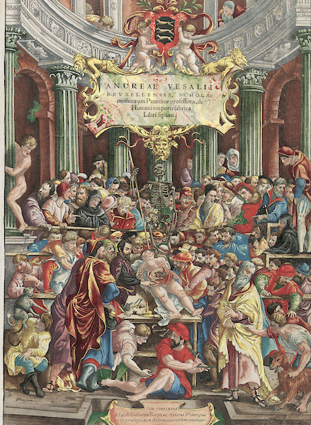 Первый экземпляр книги Андреаса Везалия «De Humani Corporis Fabrica». Подарочный экземпляр для Карла V.