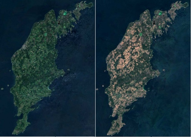 Готланд в 2017 и 2018 гг.