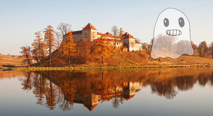 Свірзький замок