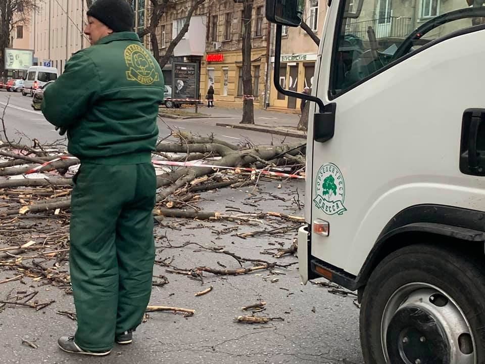 В Одессе сильный ветер валит деревья