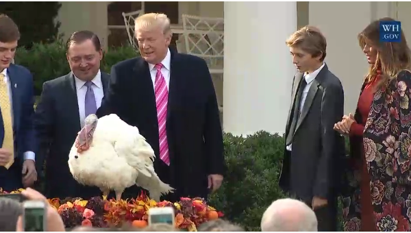 Дональд Трамп, twitter