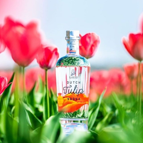 Необычная водка из тюльпанов