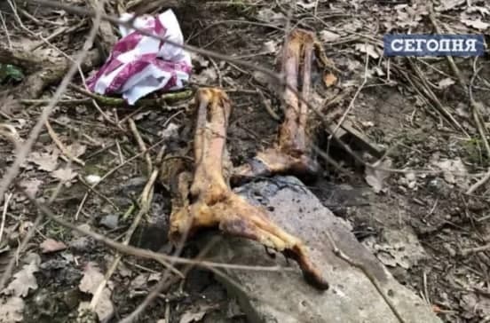 В парке Львова обнаружены человеческие останки
