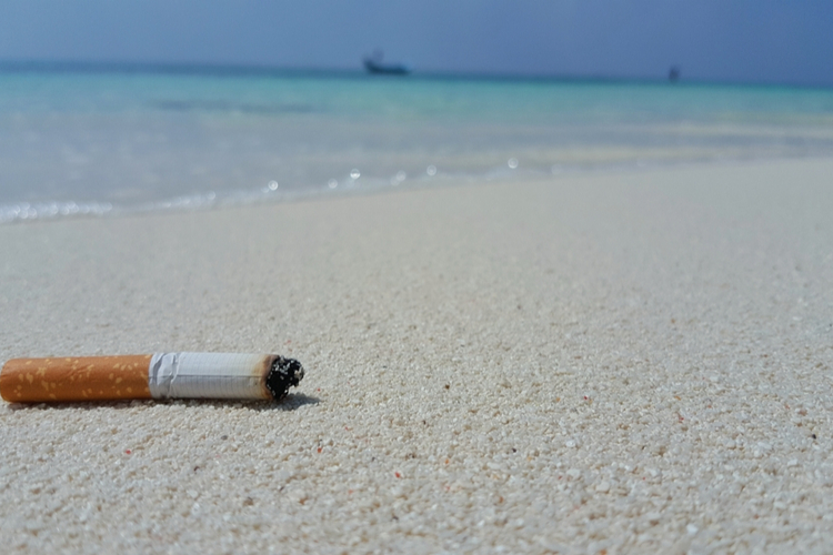 Океан страдает из-за миллиардов выброшенных окурков