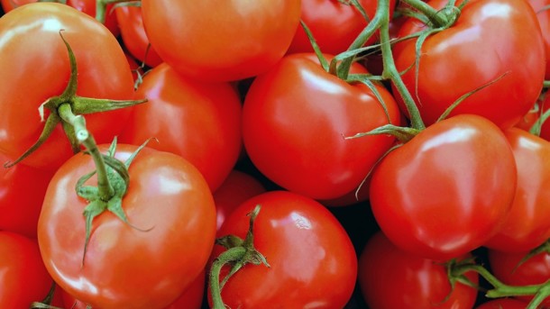 В Украину не пропустили зараженные помидоры из Турции