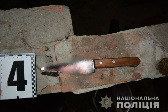 Сын нанес матери 17 удар ножом