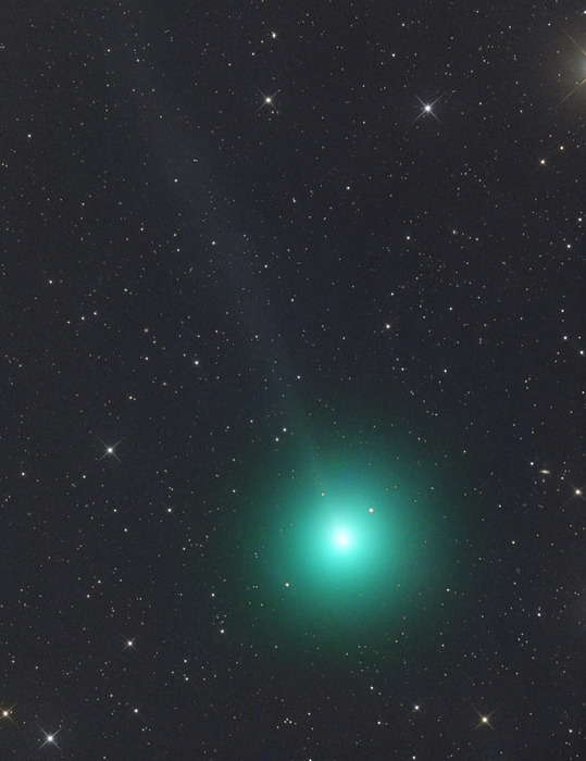 Комета C/2018 Y1/Ивамото 5 февраля 2019.  Credit: Gerald Rhemann, Gerhard Bachmayer