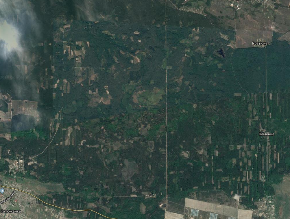 Вырубка леса в Киевской области