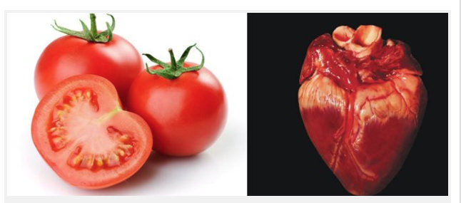 Помидоры полезны для сердца