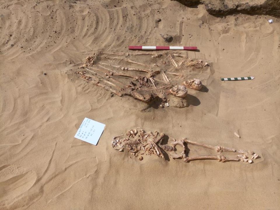 В Египте нашли саркофаг с мумиями возрастом в 4 тысячи лет. Фото: facebook.com/moantiquities
