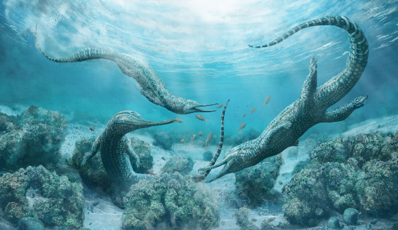 Ученые обнаружили останки вымерших морских монстров