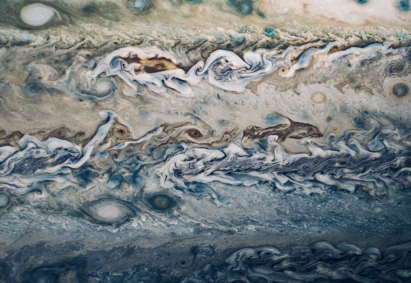 Дельфины Юпитера