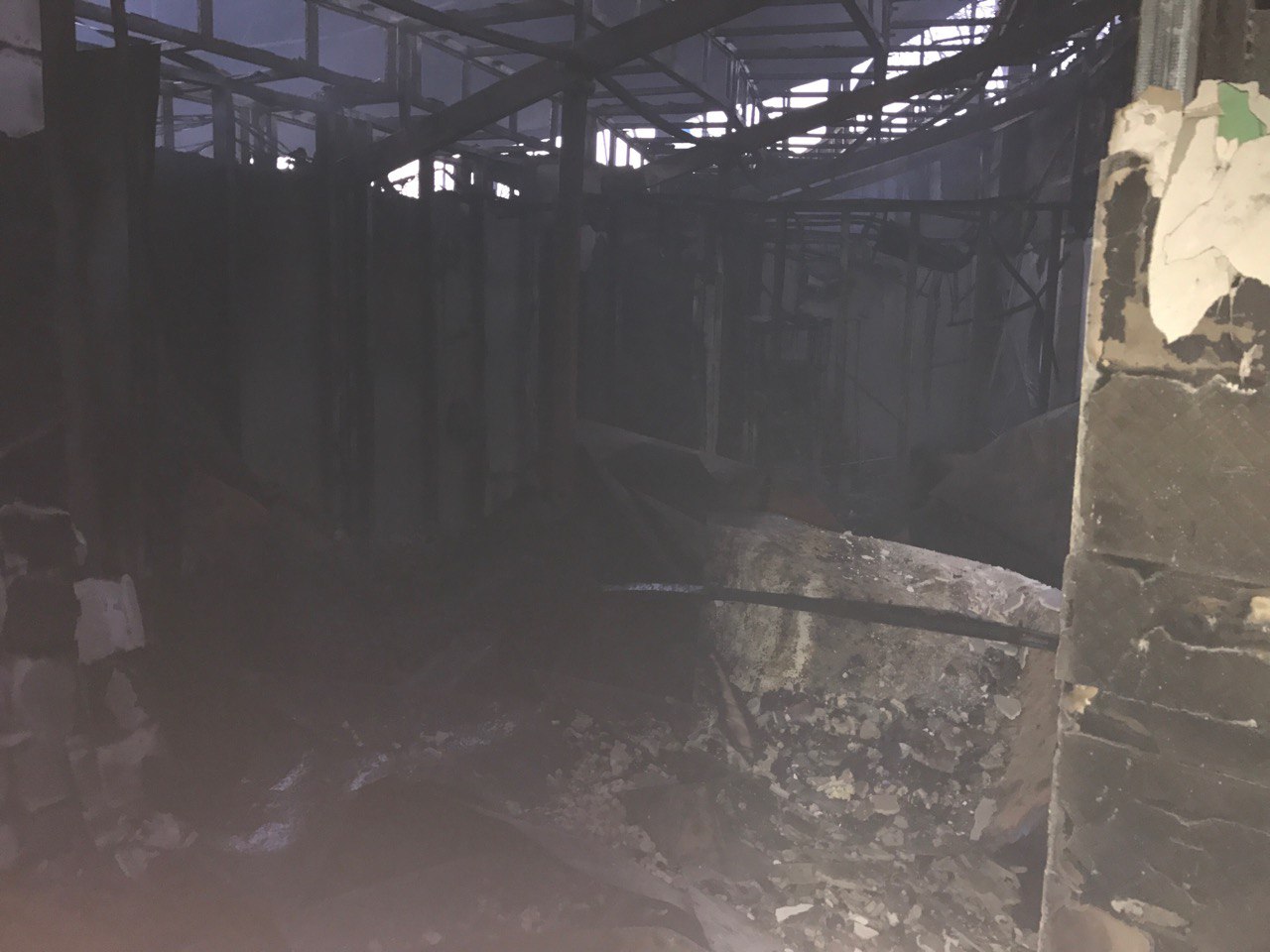 Пожар в донецком дельфинарии