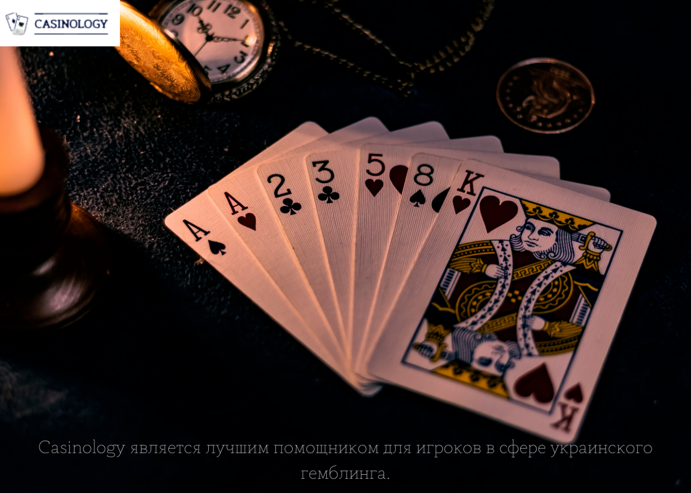 Информация про сайт-ревью Casinology