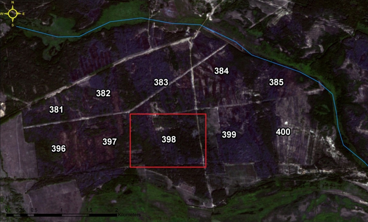 Знімок з космосу, зроблений у серпні 2015 року, після пожежі