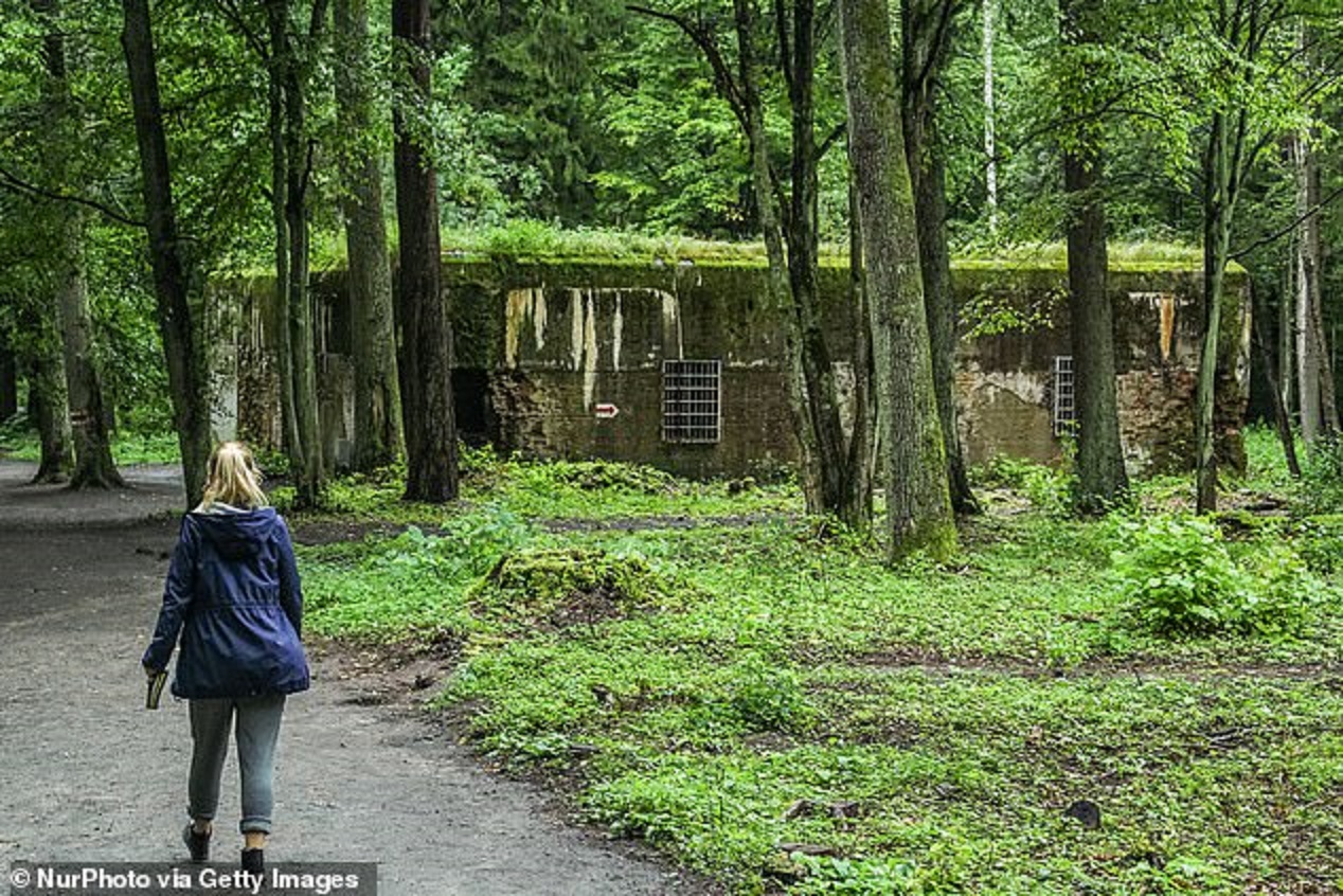 На расстоянии 800 метров от главного бункера Гитлера в комплексе Wolfsschanze обнаружили фундамент дома садовника, две теплицы и подземную котельную