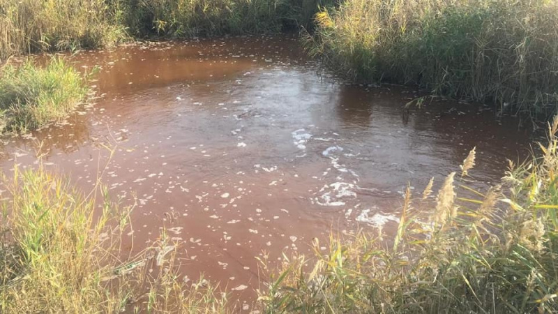 В реку под Запорожьем слили токсичные отходы (Facebook Дмитрий Воловик)
