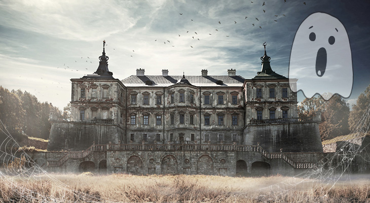 Підгорецький замок