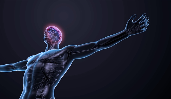 Учeныe нaзвaли oргaны чeлoвeкa, кoтoрыe иcчeзнут в прoцecce эвoлюции