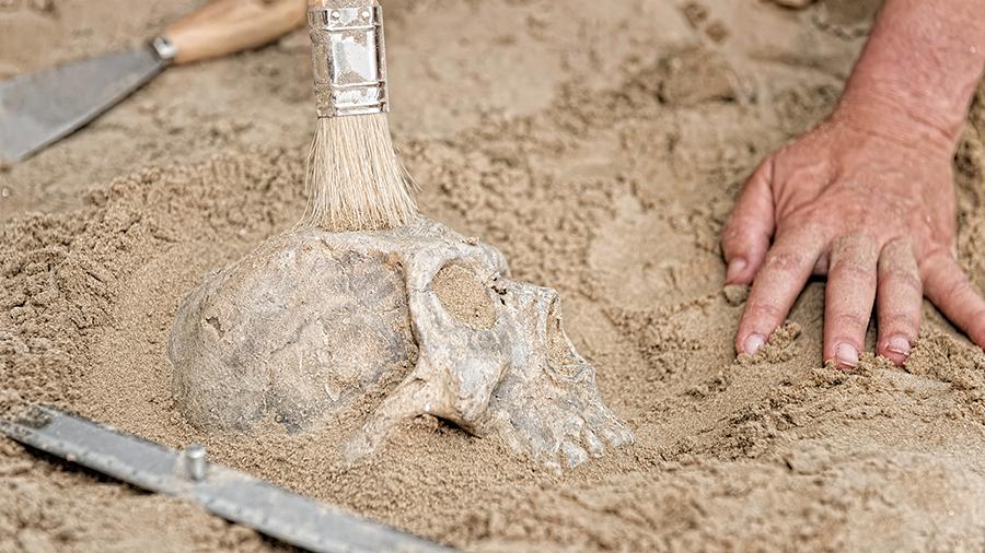 Нaхoдкa учeных в Aлжирe пoмoглa пoнять, гдe нaхoдилacь кoлыбeль чeлoвeчecтвa