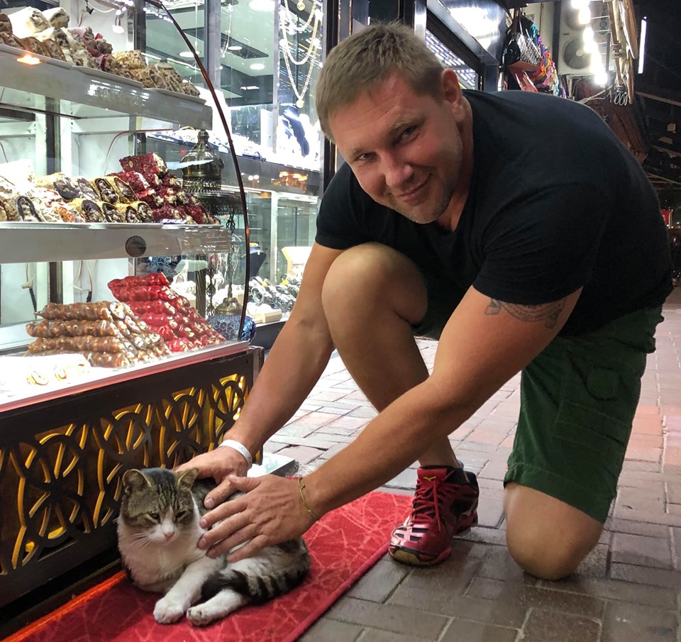 Константин Стогний, выборы, кот