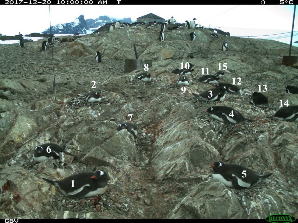 Украинские школьники присоединятся к исследованию Антарктики