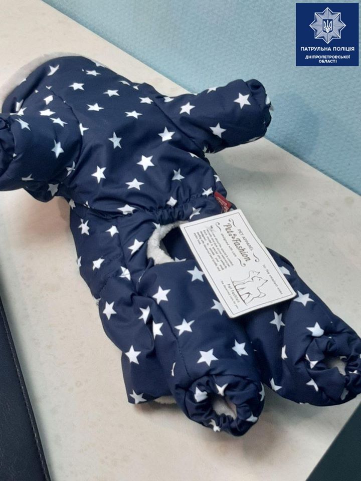 Мужчина украл костюм для собаки