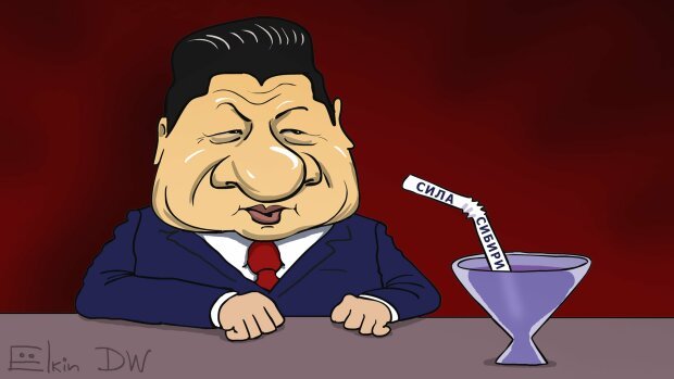 Новый газопровод Путина высмеяли меткой карикатурой
