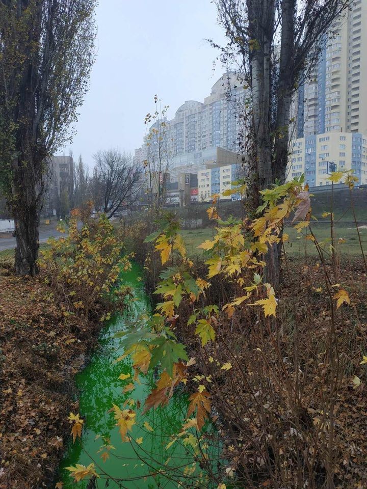 Река Дарница стала зеленой 