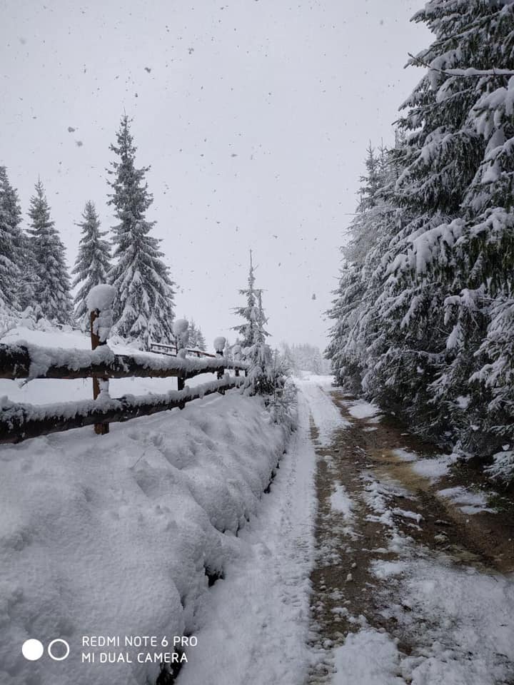 На западе Украины выпал снег