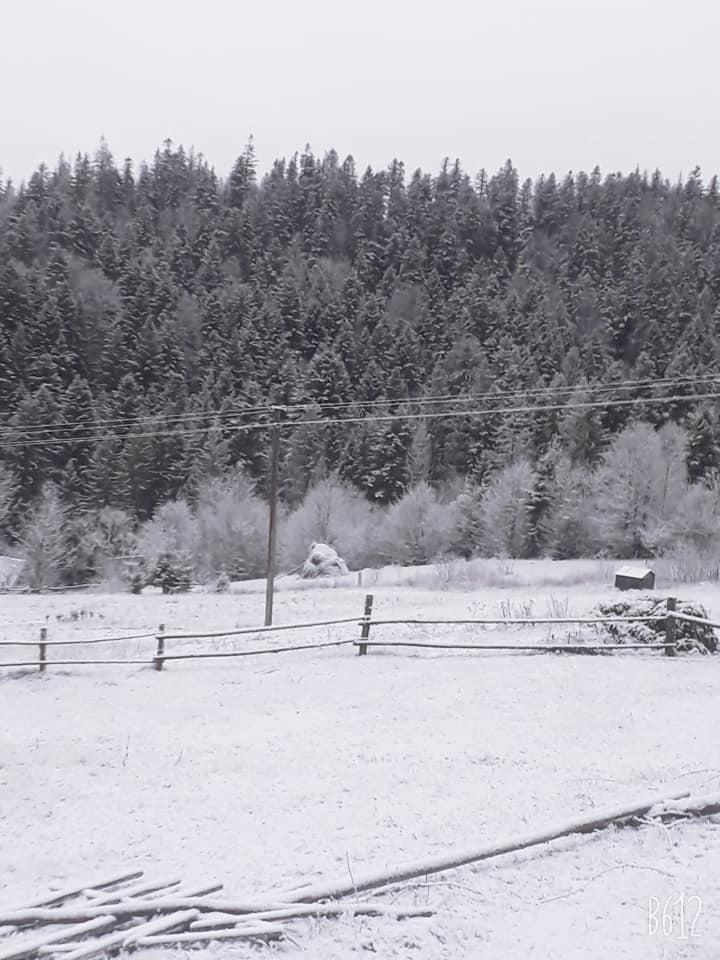 Снег в Карпатах 