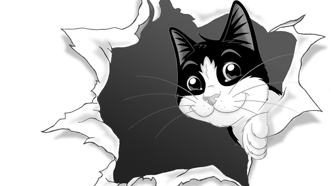 Фелікс корм для котів або Friskies від компанії Purina