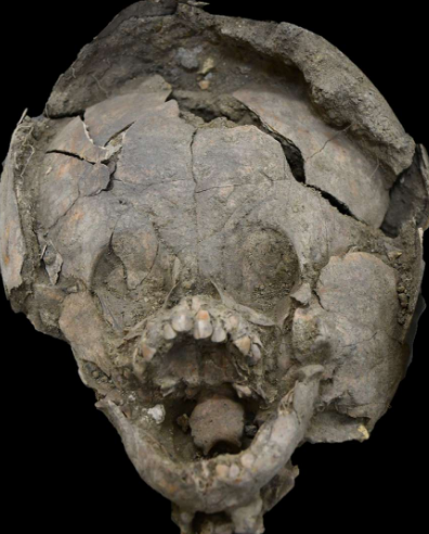 Археологи обнаружили захоронение детей в черепах других людей
