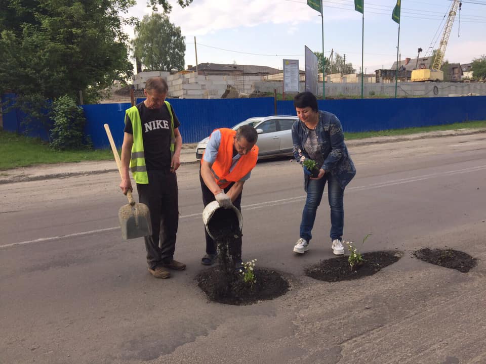 В Луцке в ямах на дорогах высадили цветы