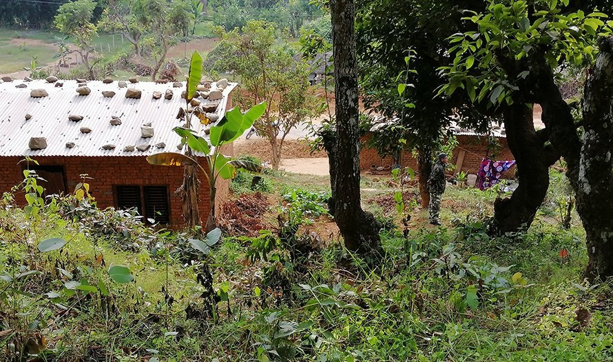 Хищники растерзали шестерых детей в Непале