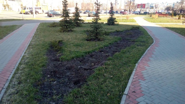 Вандалы выкопали и украли саженцы