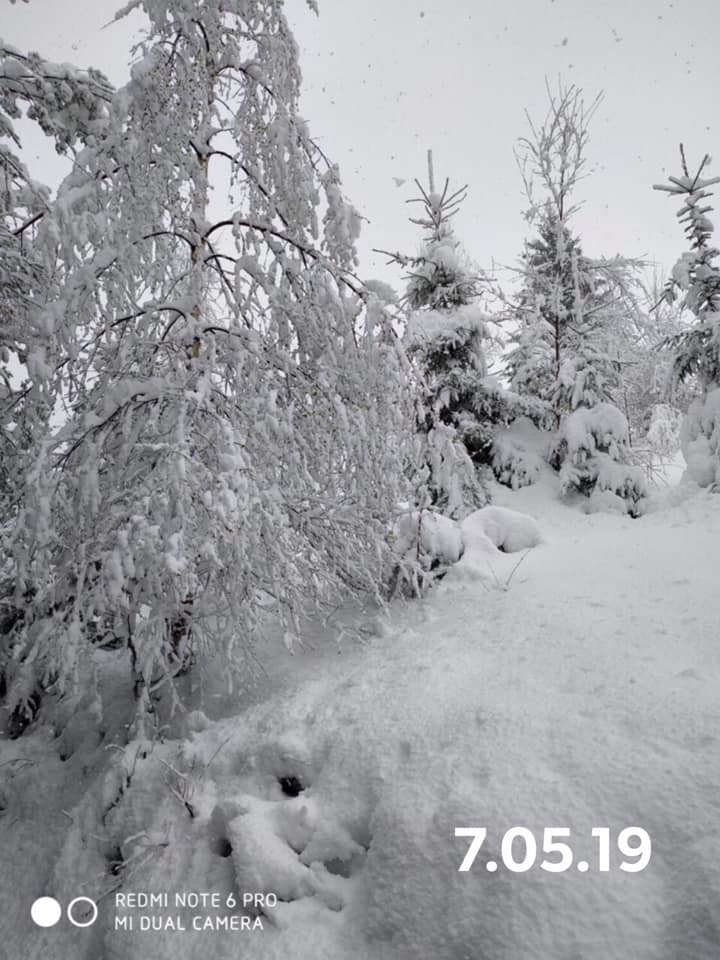 На западе Украины выпал снег