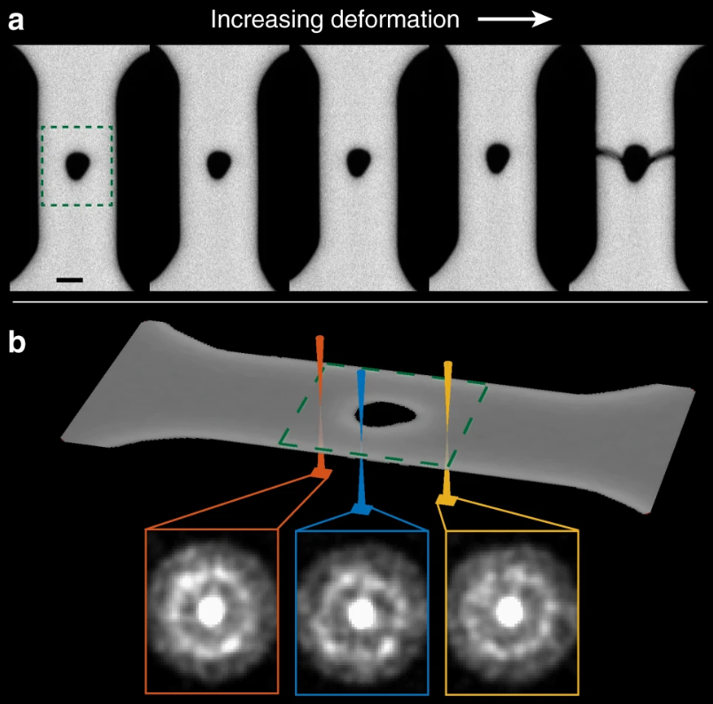 С помощью 4D-микроскопа сделали снимки атомов