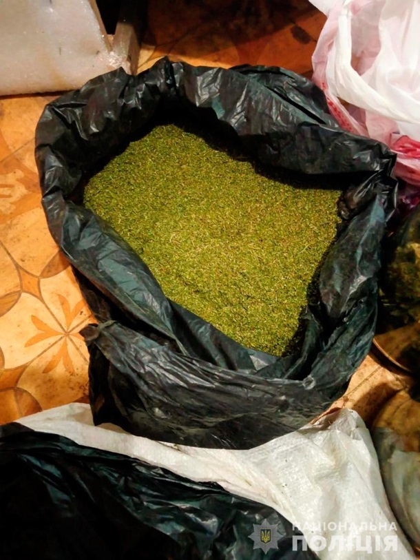 У жителя Николаевщины обнаружили 40 кг конопли и плантацию