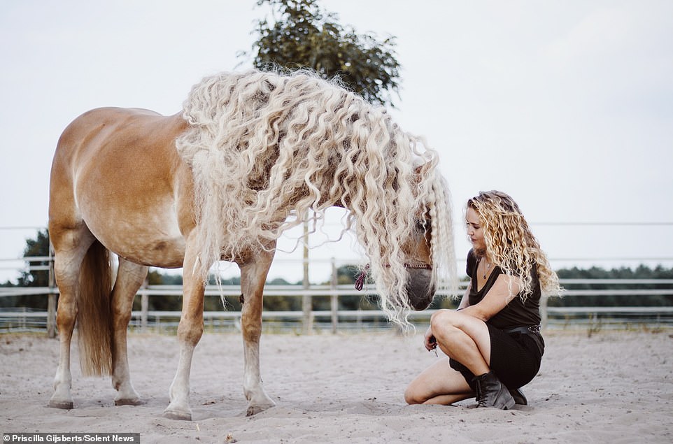 Шторм — самая красивая лошадь
