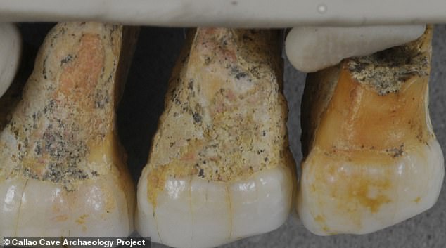 Археологи сумели найти зубы древних людей