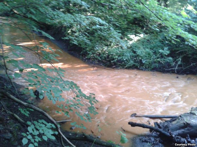 И политически, и юридически парламент пошел на самоубийство, - Луценко о провале голосования по Дейдею и Лозовому - Цензор.НЕТ 4342