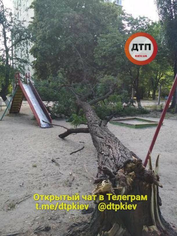 Фото: dtp.kiev.ua